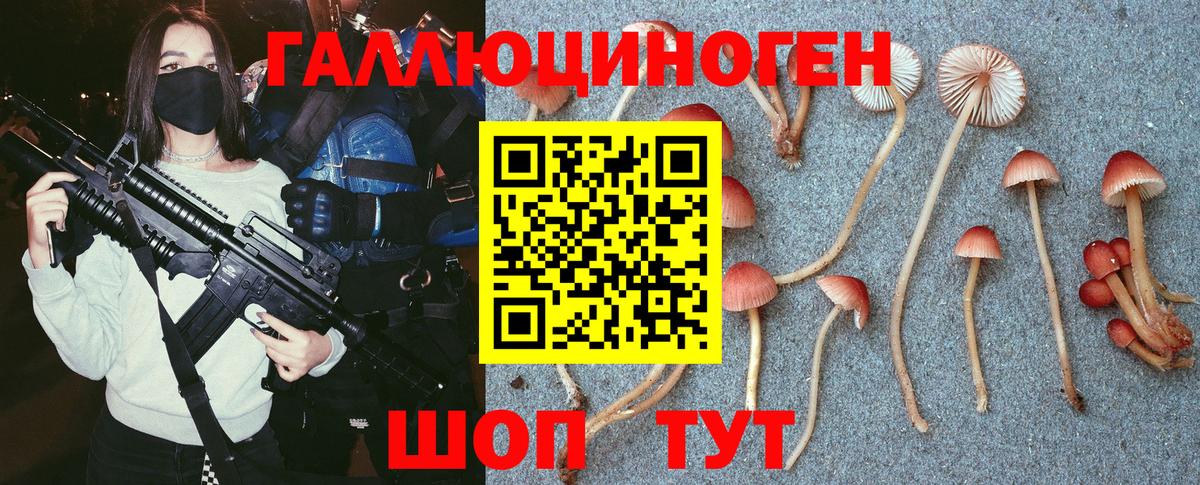 Псилоцибиновые грибы MAGIC MUSHROOMS Новошахтинск