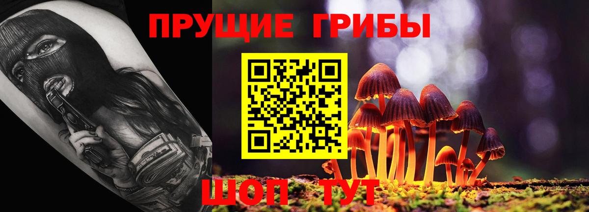 Новошахтинск  Псилоцибиновые грибы мухоморы  Вход с VPN 